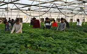 MPHUE-gallery-image-3