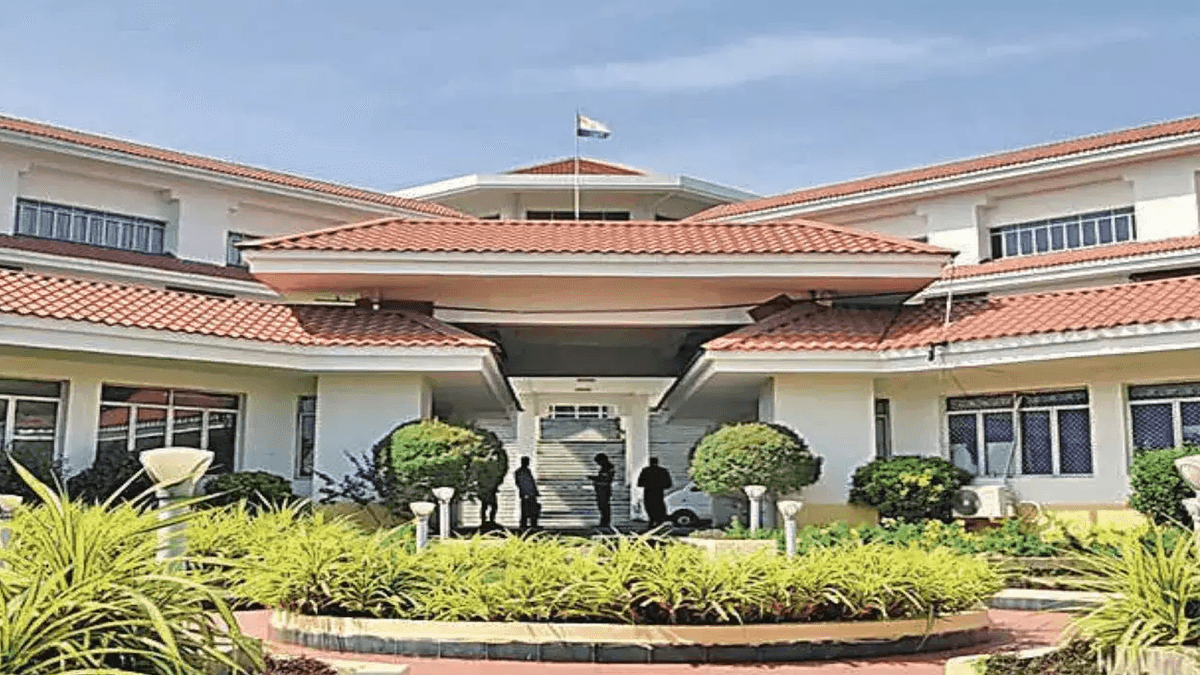 NLUT-gallery-image-4