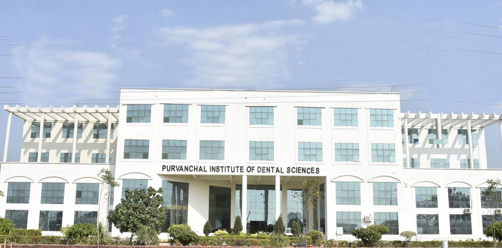 Purvanchal Institute of Dental Sciences-image