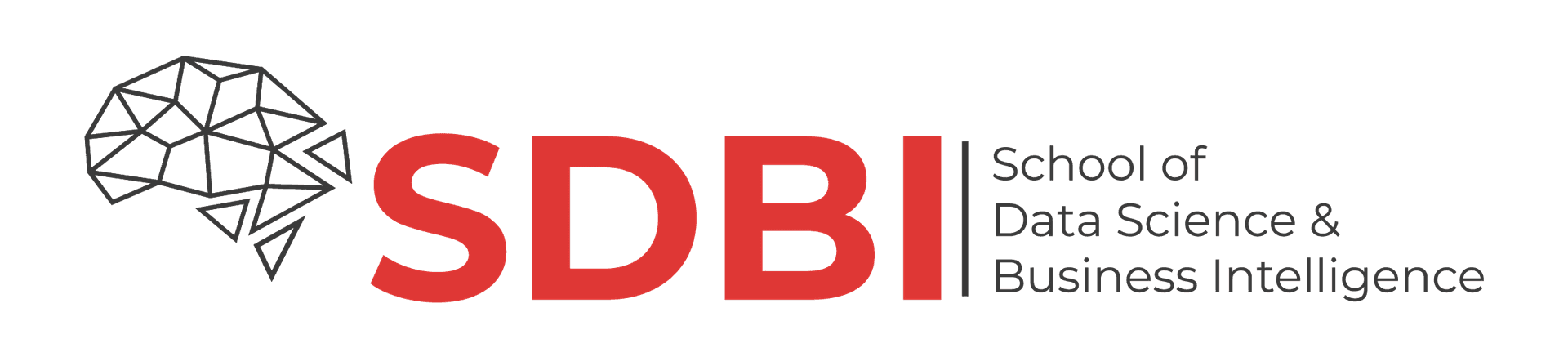 School of Data Science & Business Intelligence-image