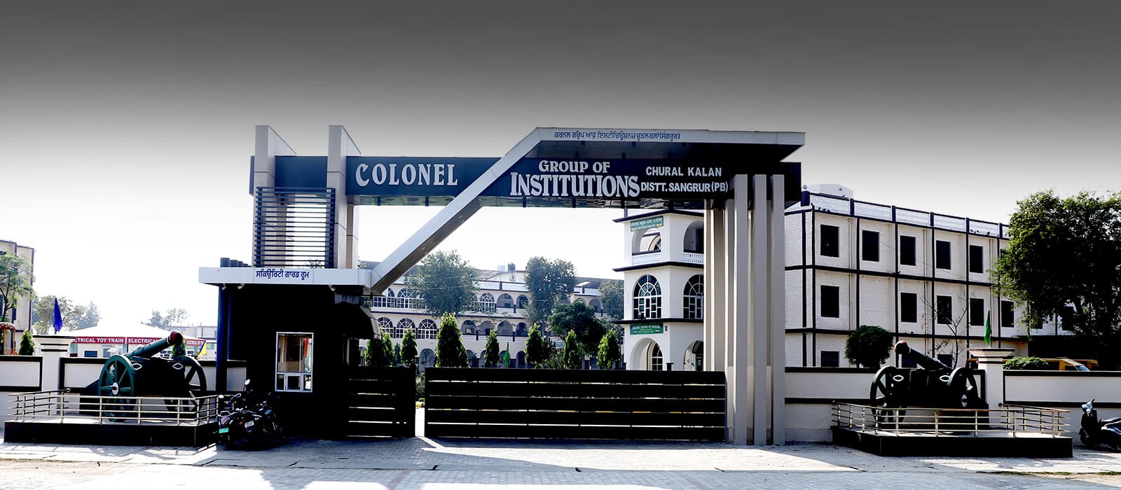 Colonel School of Nursing-image