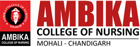 Ambika College of Nursing-image