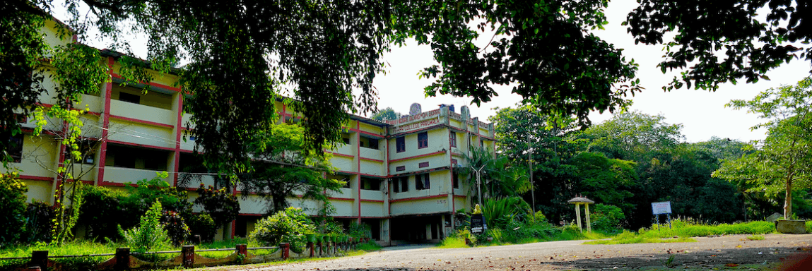 D.B. Pampa College-image