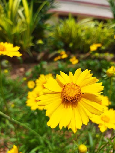 BKCW-gallery-image-7