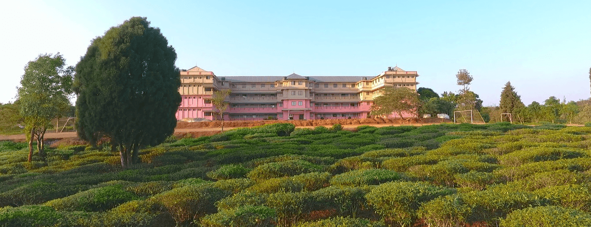 Holy Cross College-gallery-image-2