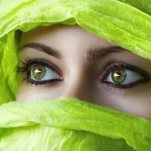 Sakthi Institute of Teacher Education and Research-gallery-image-7