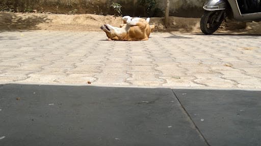 Venky College-gallery-image-6