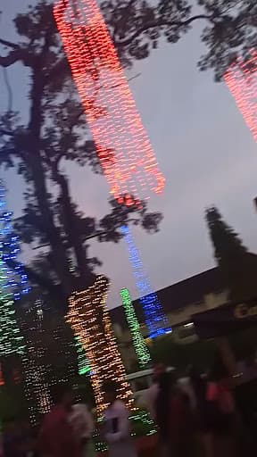 UC College, Aluva-gallery-image-5