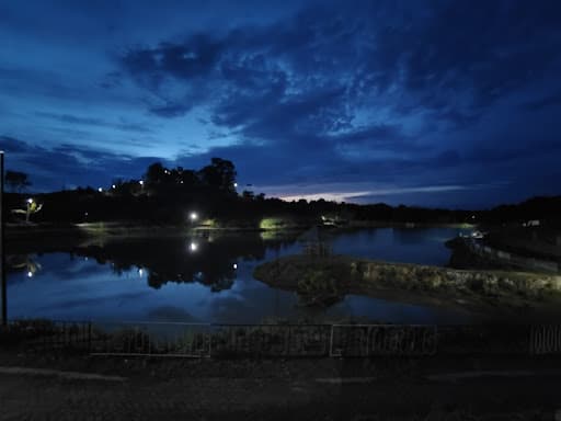 Assam University-gallery-image-5