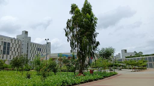 APU Bengaluru-gallery-image-7