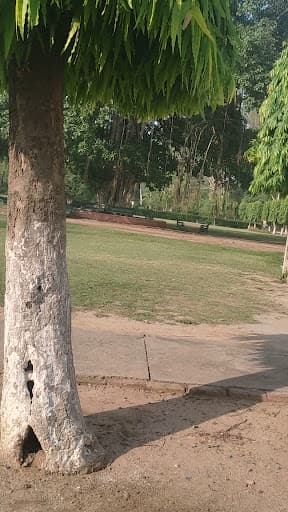 GMC Patiala-gallery-image-6