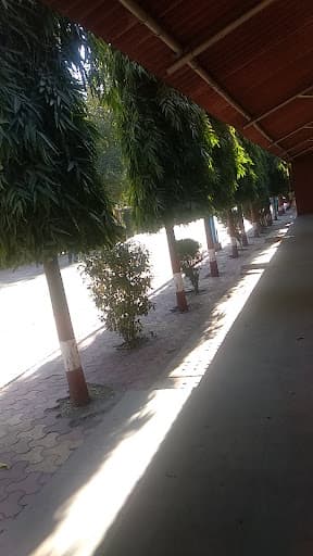 DAVV-gallery-image-5