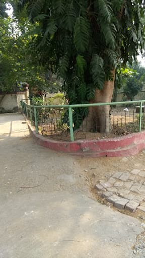 MMC Patna-gallery-image-6