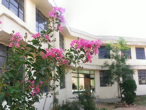 M.A.M. College Jammu-gallery-image-7