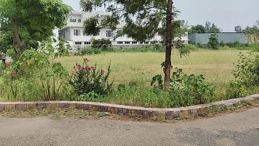 MBS College Jammu-gallery-image-7