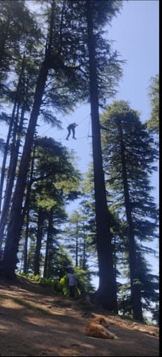 MIER College-gallery-image-6