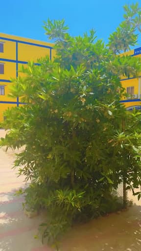 BSM Law College-gallery-image-6