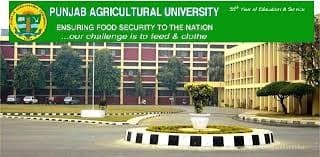 Punjab Agricultural University-image