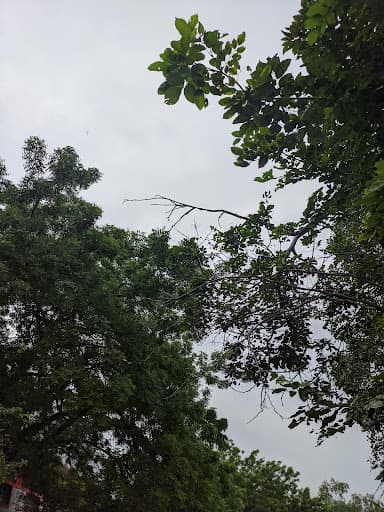 S.J.G.D.C. Kurnool-gallery-image-6