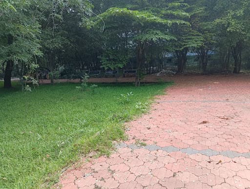 PSNACET-gallery-image-5