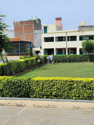 Navyug College of Education-gallery-image-7