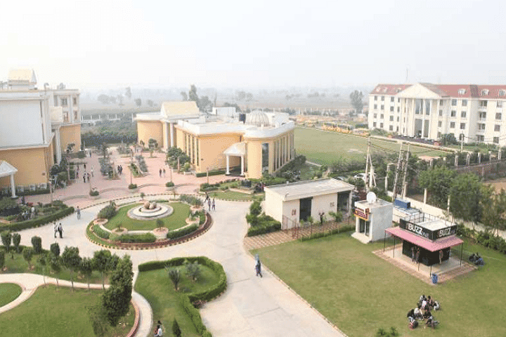 Rawal Institute of Management-image