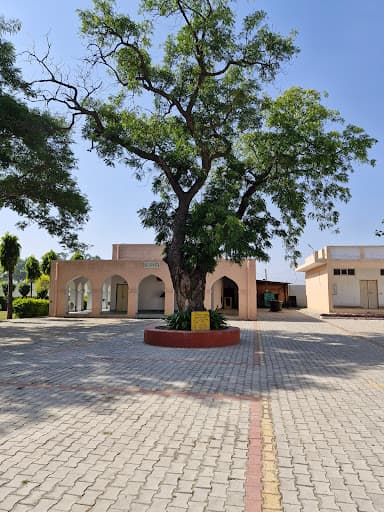 SKCE Sonipat-gallery-image-6