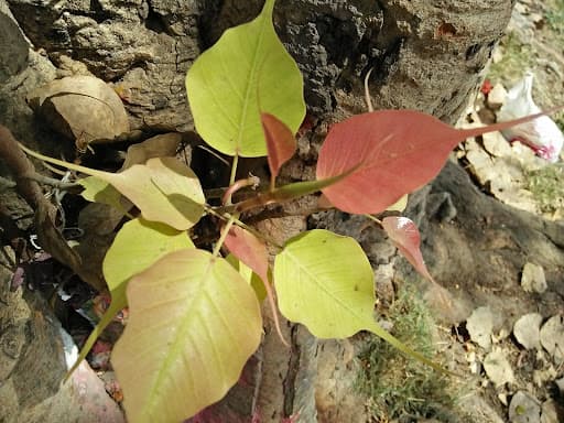 MBK College-gallery-image-7