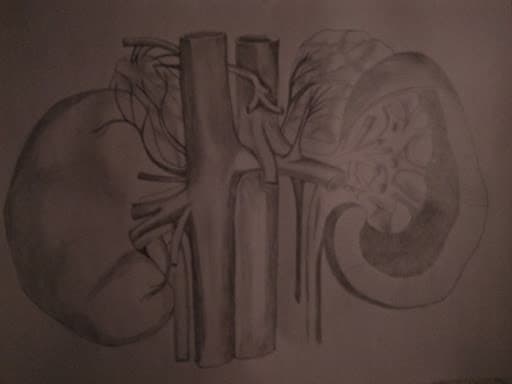 MBK College-gallery-image-5