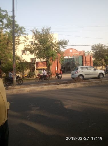 DAVIM-gallery-image-5