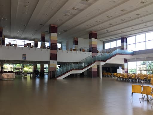 MIT Manipal-gallery-image-6