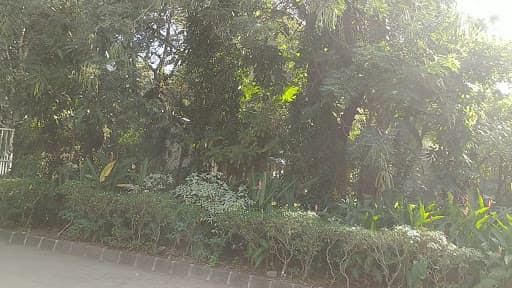 SPJIMR-gallery-image-7