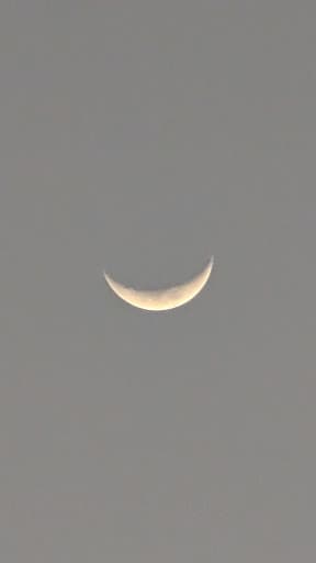 Indian Institute of Technology Tirupati-gallery-image-5