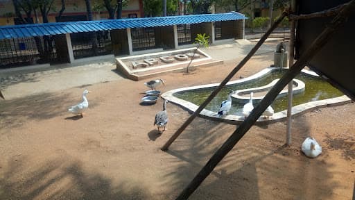 Adhiparasakthi College of Arts & Science-gallery-image-6