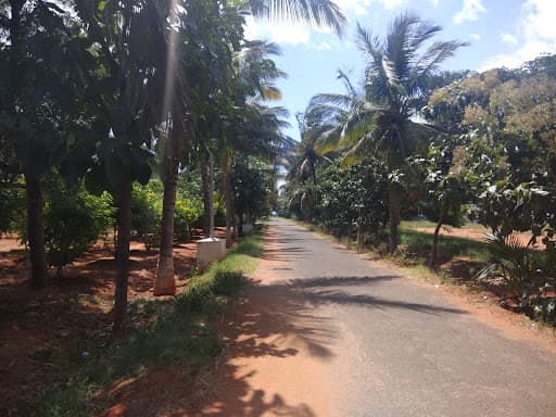 SRIT Coimbatore-gallery-image-7