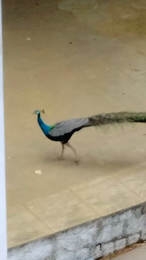 HICET-gallery-image-6