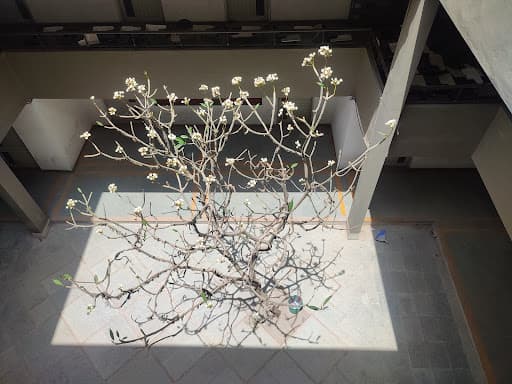 SCPPGICA-gallery-image-6