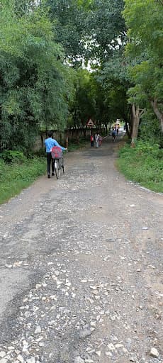Shri Baijnath Shiv Kala Mahavidyalaya-gallery-image-6