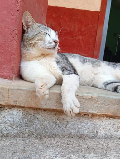 NSS College Kollam-gallery-image-5