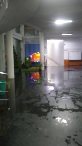 MMCRI Kancheepuram-gallery-image-6