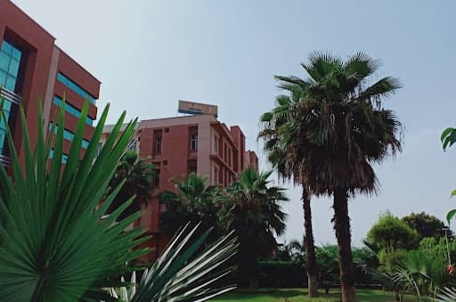IIMT Greater Noida-gallery-image-7