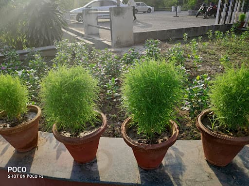 BCIHMCT-gallery-image-7