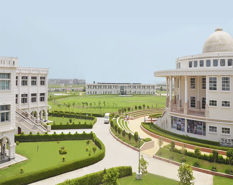 Noida International University, School of Nursing & Health Science-gallery-image-0