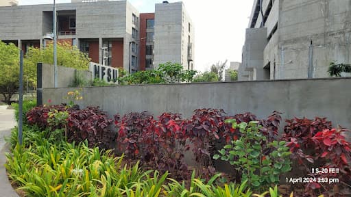 SoBS NFSU-gallery-image-6