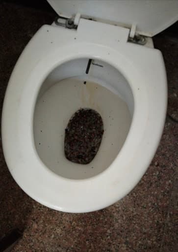 RBS SIET Rewari-gallery-image-5