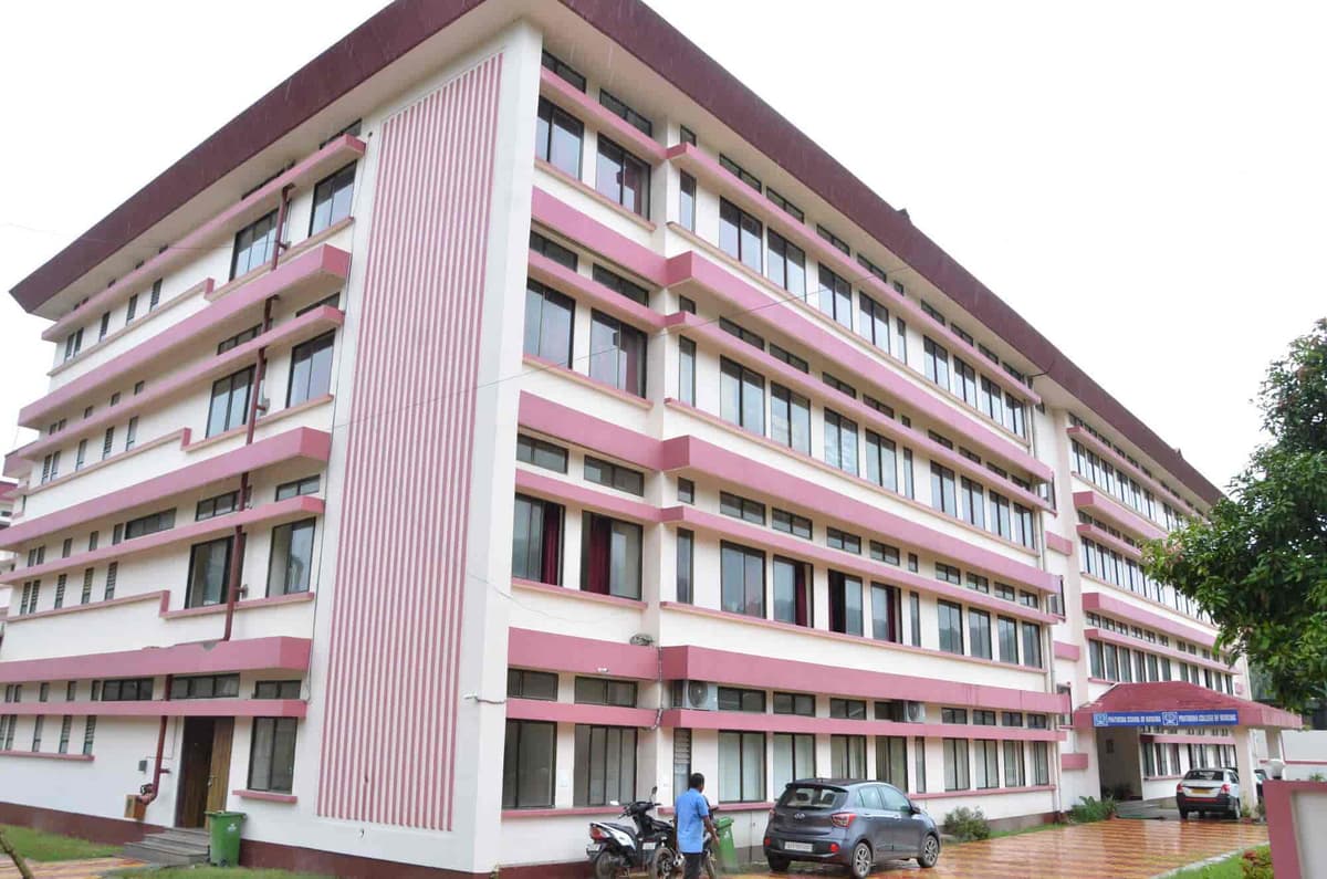 PIPS Mirza-gallery-image-3