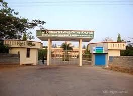 Bapuji Academy of Management and Research-image