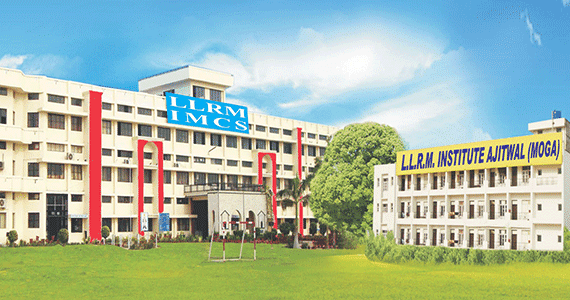 Lala Lajpat Rai Memorial Institute of Management and Computer Sciences-image