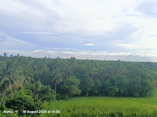 BT Howrah-gallery-image-6