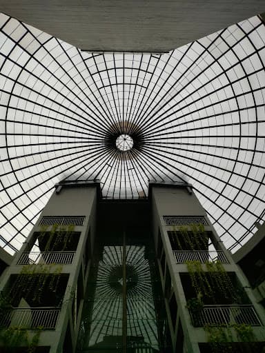 SCMSA-gallery-image-7